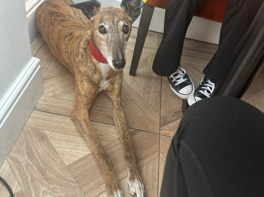 索莫斯特之家酒店主图