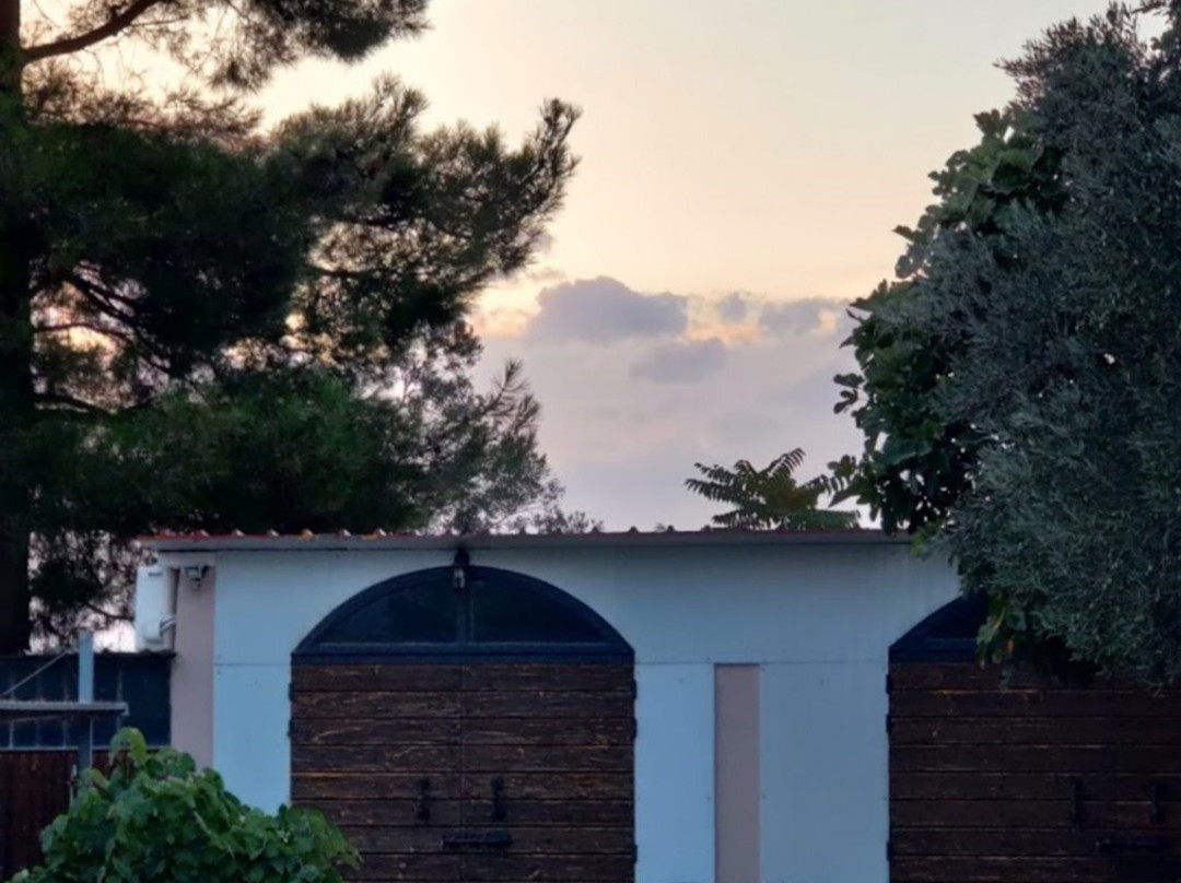 80 Winery-Vasilika必去景点