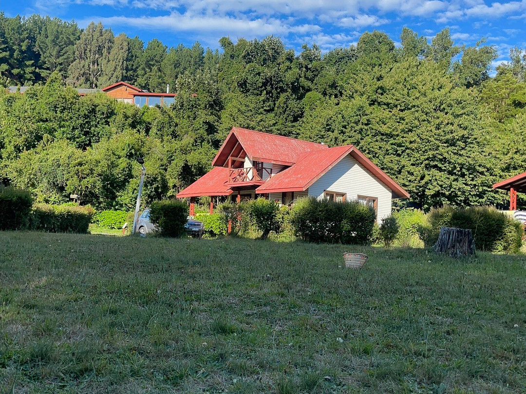 Canopy Chile-巴拉斯港必去景点