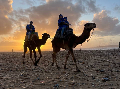 Palma Quad-索维拉必去景点