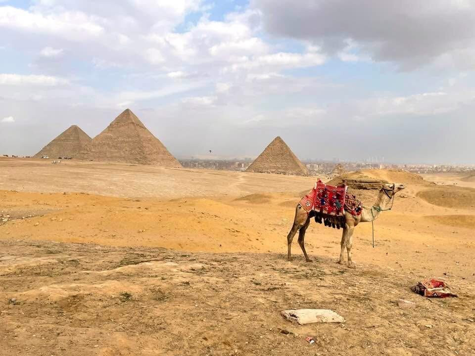 Panoramic View of the Pyramids