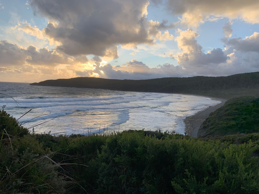 Tasmanian Wilderness Experiences景点图片