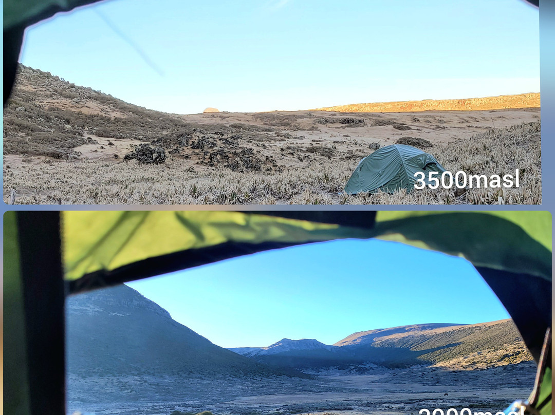 Bale Mountains Eco Trekking Tours景点图片