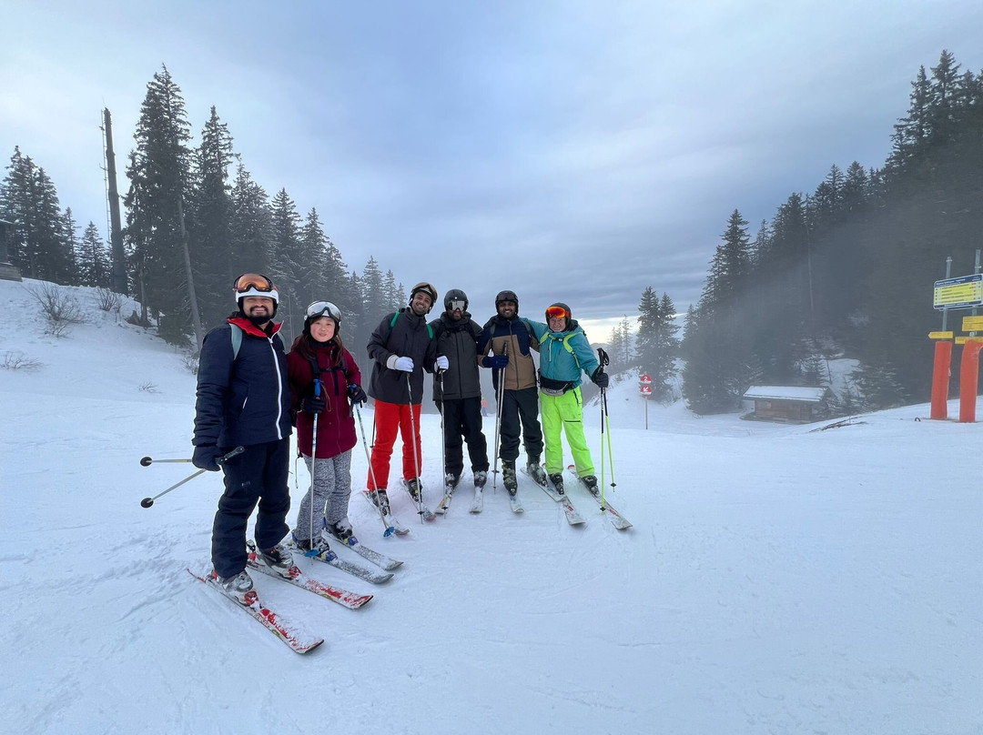 Parallel Skiing-慕尼黑必去景点