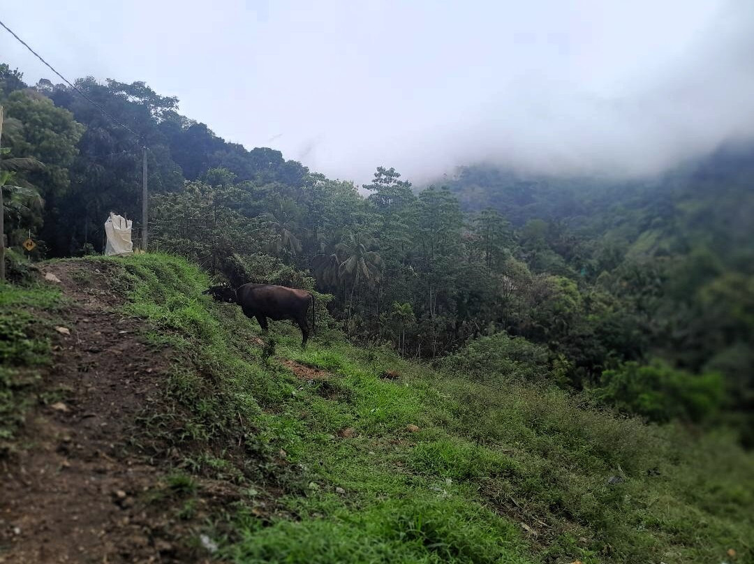 Sri Lanka Knuckles Trekking景点图片