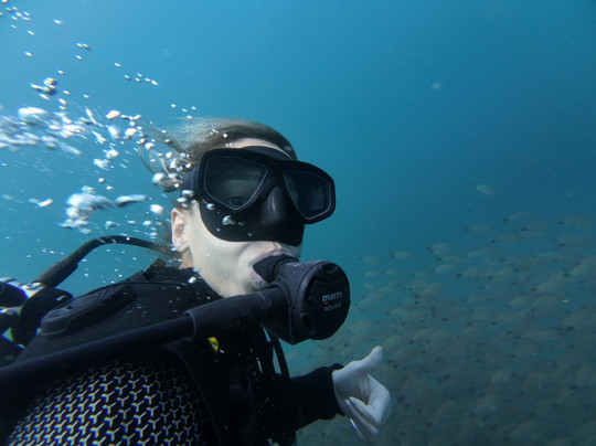 TamaDive-塔马林多必去景点