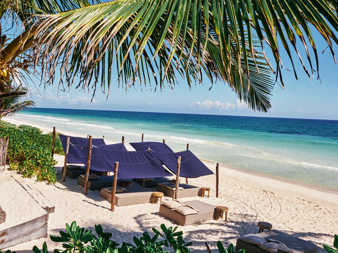 Libelula Tulum主图