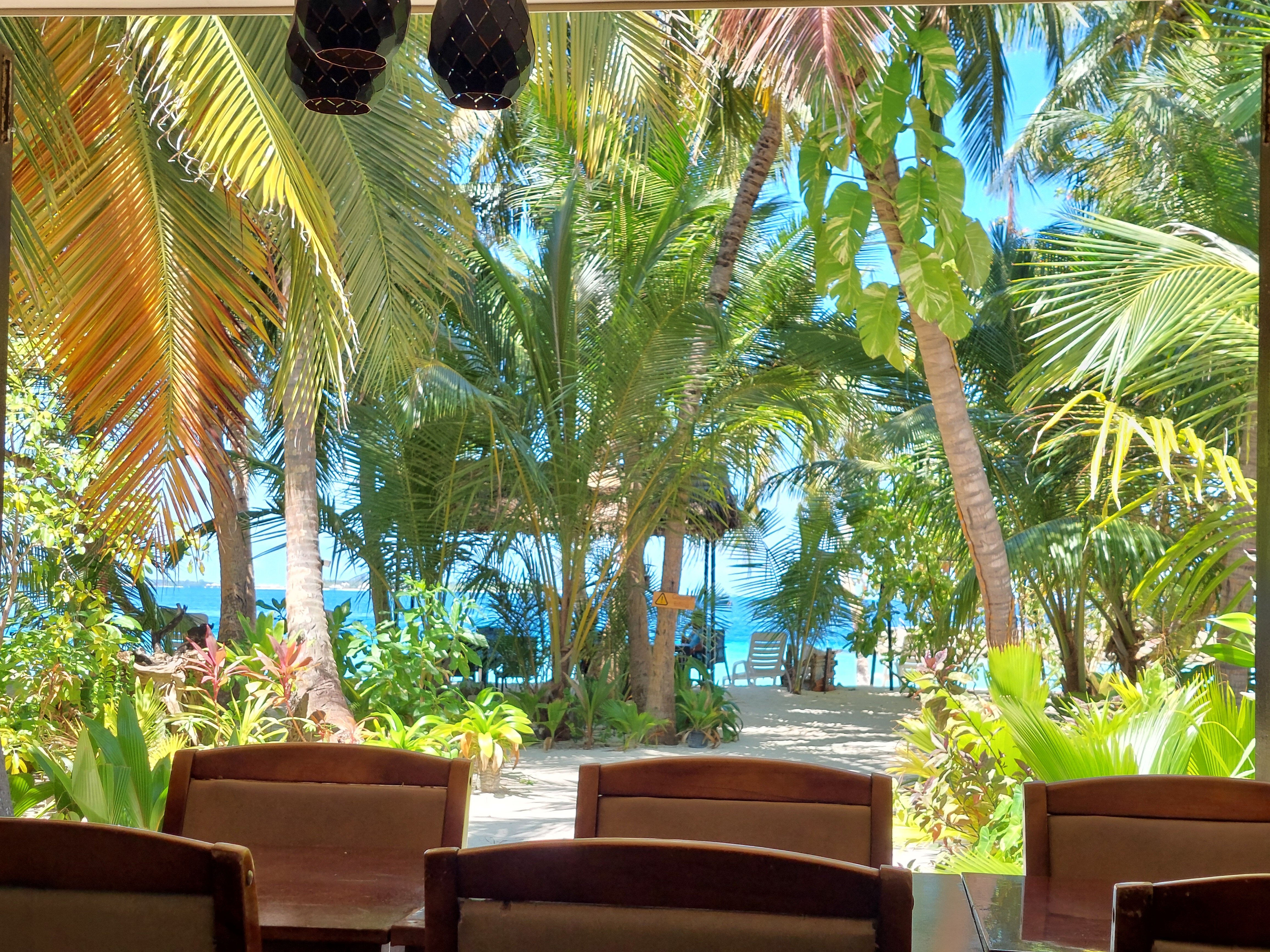 Lvis Blancura Hotel-官方