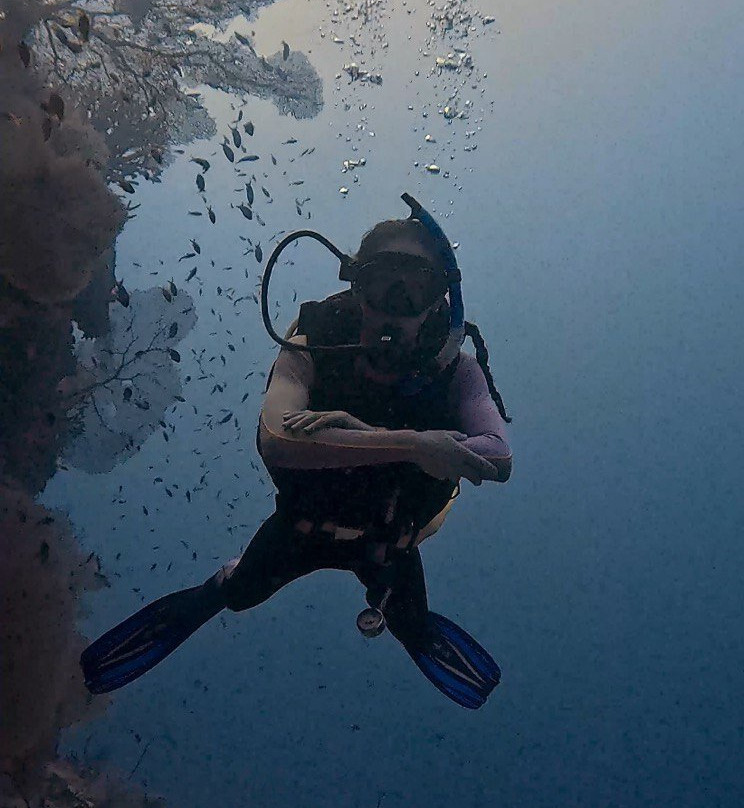 Fathu Dives & Excursion Center景点图片