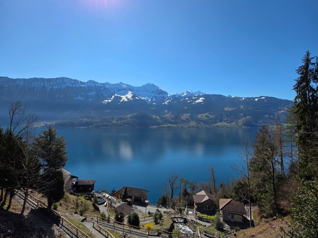 Typically Swiss Tours-卢塞恩必去景点