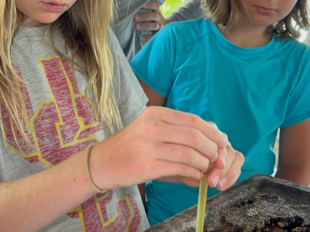 Mayan Bees Experience-Xul-Ha必去景点