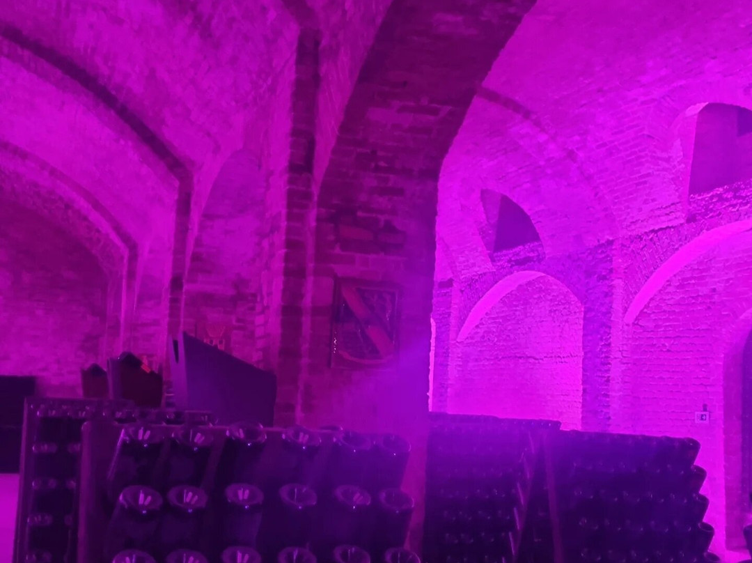 Cantine Bosca - Cattedrali Sotterranee景点图片