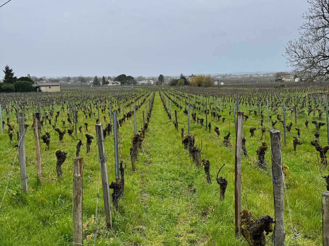 Chateau Bernateau-Saint-Etienne-De-Lisse必去景点