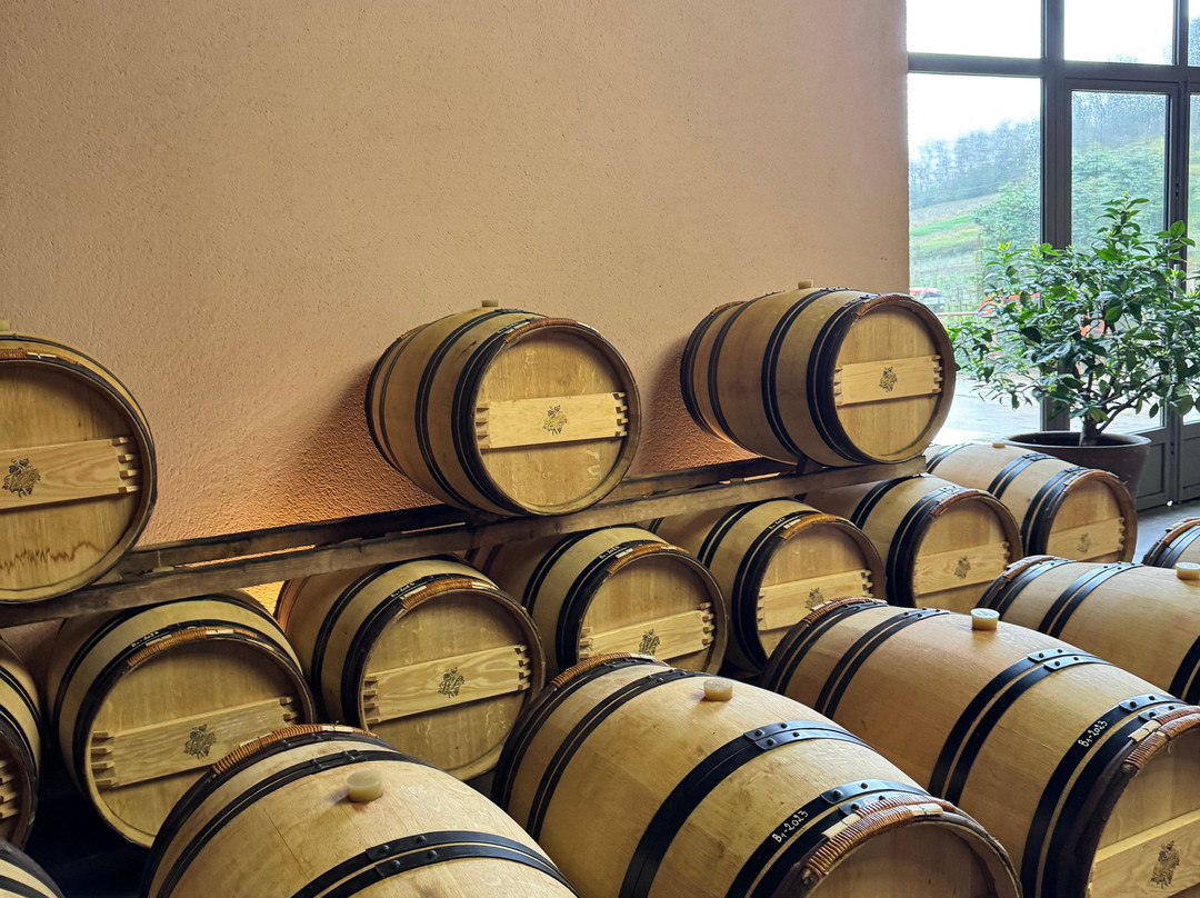 Chateau Bernateau-Saint-Etienne-De-Lisse必去景点