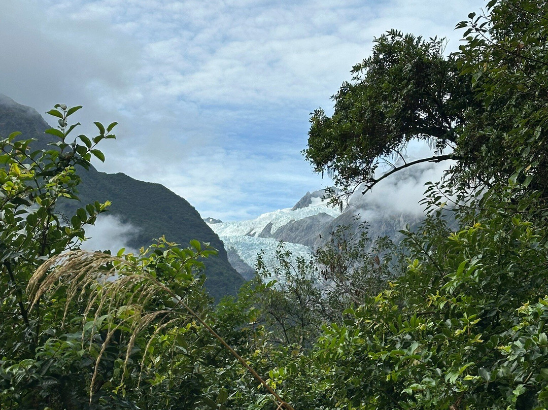 Glacier Valley Eco Tours-西海岸地区必去景点