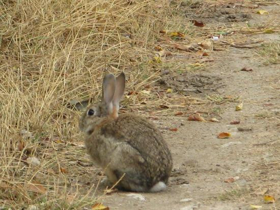 Hotel La Cachava主图