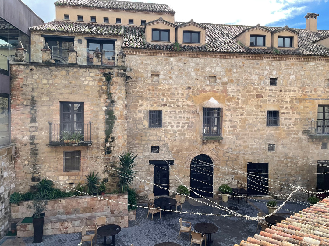 蒙西巴尔宫酒店主图