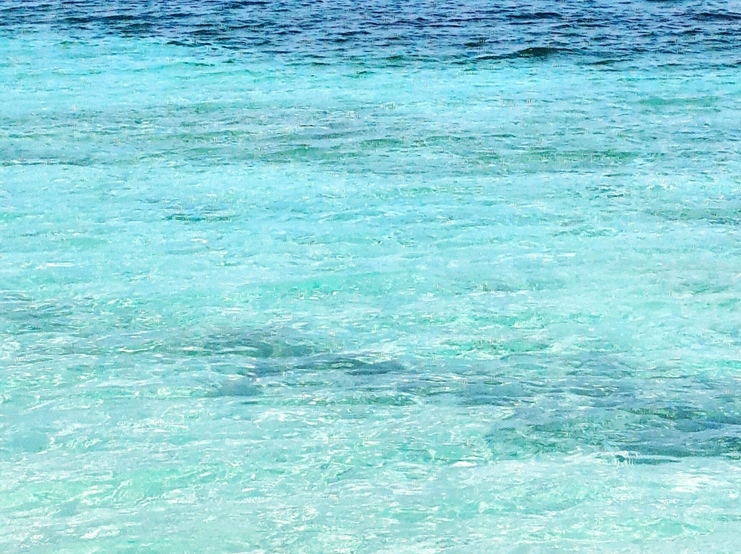 Cabañas Naranjo Chico主图