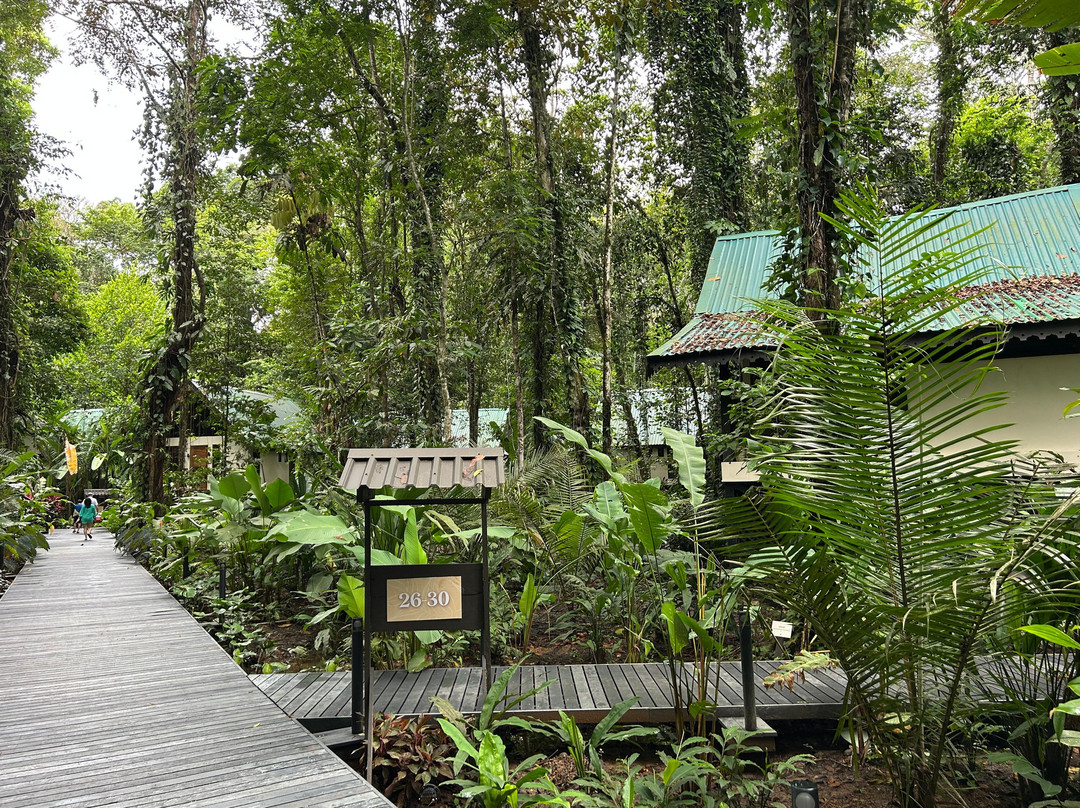 Guabito酒店住宿-Almonds and Corals Hotel