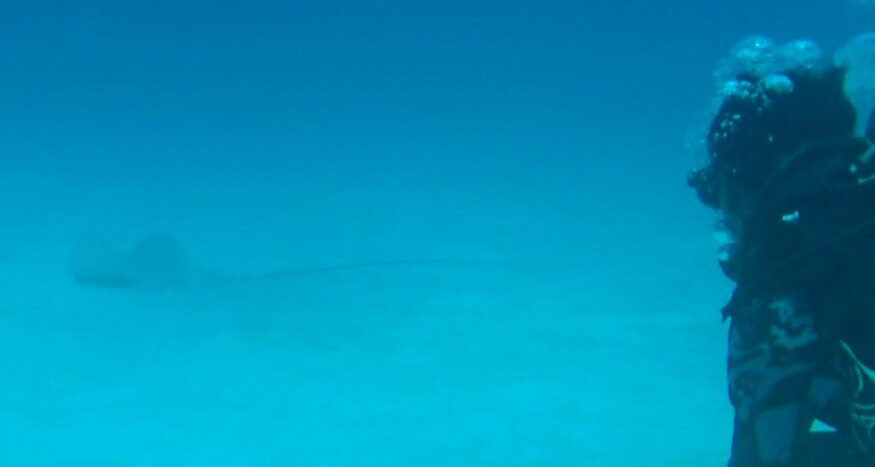 Ocean Spirit Dive Center景点图片