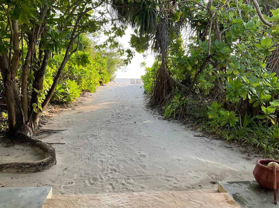 Diving Centers Werner Lau-Hon'daafushi必去景点