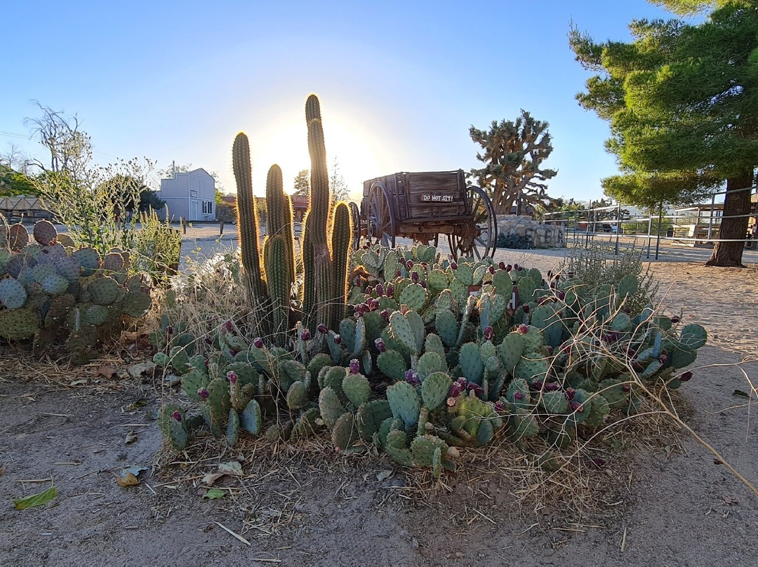 长滩海滨-长滩必去景点