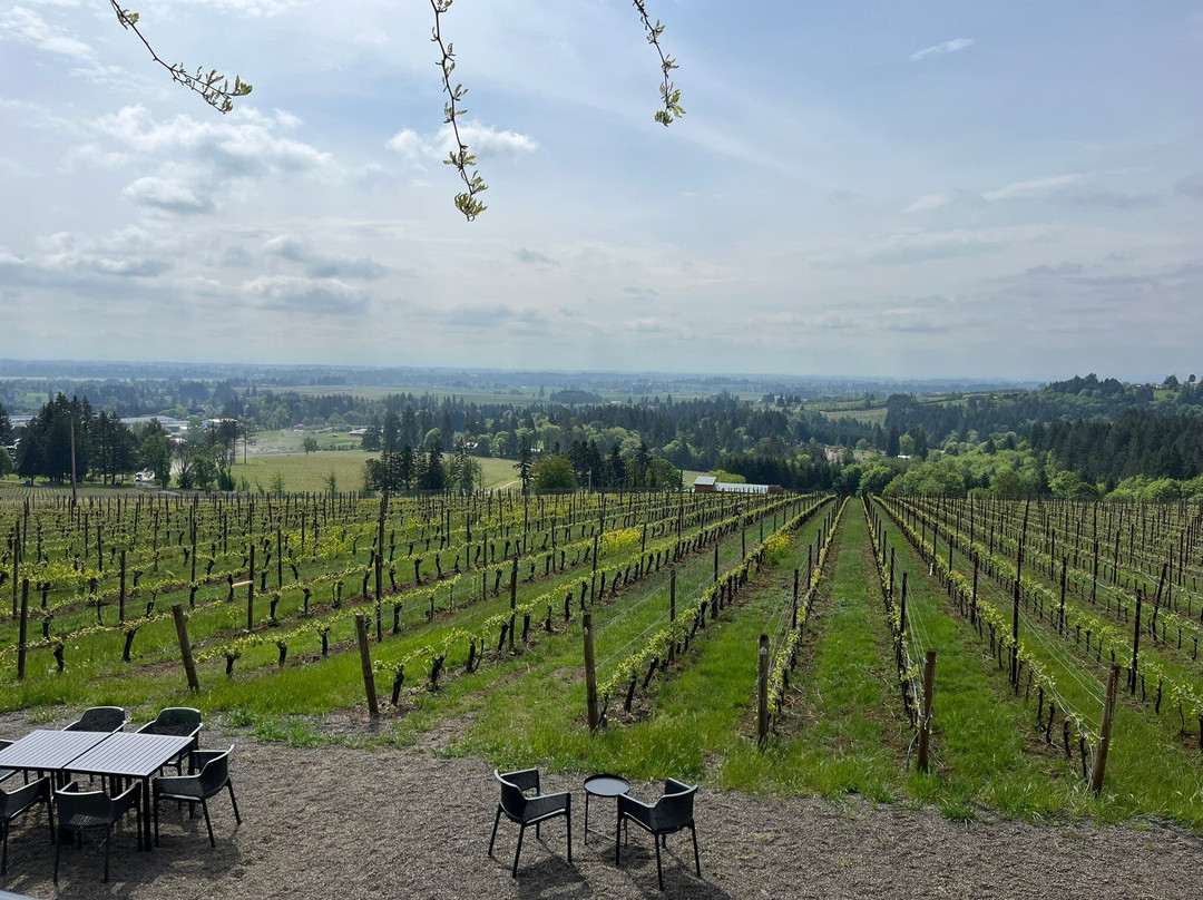 Furioso Vineyards-Dundee必去景点