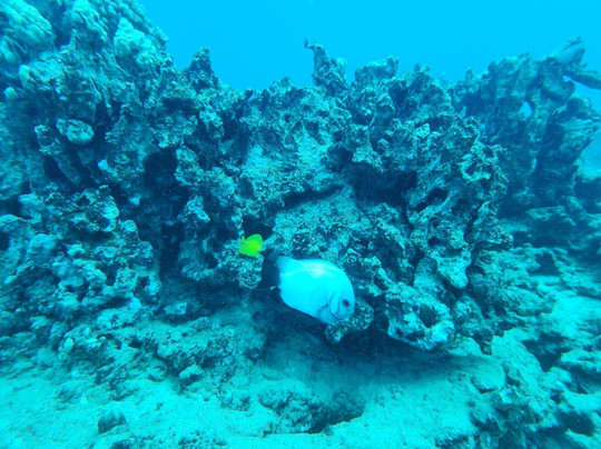 Makai Expeditions-考普雷必去景点