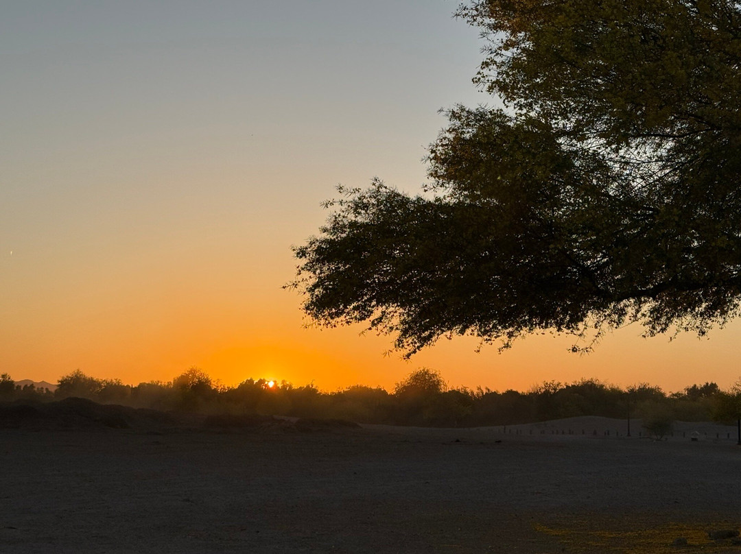 West Wetlands Park-尤马必去景点