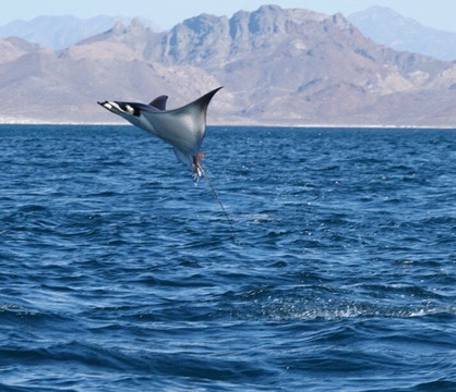 MIKA TOURS-拉巴斯必去景点