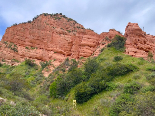Red Rock Canyon Park Trail
