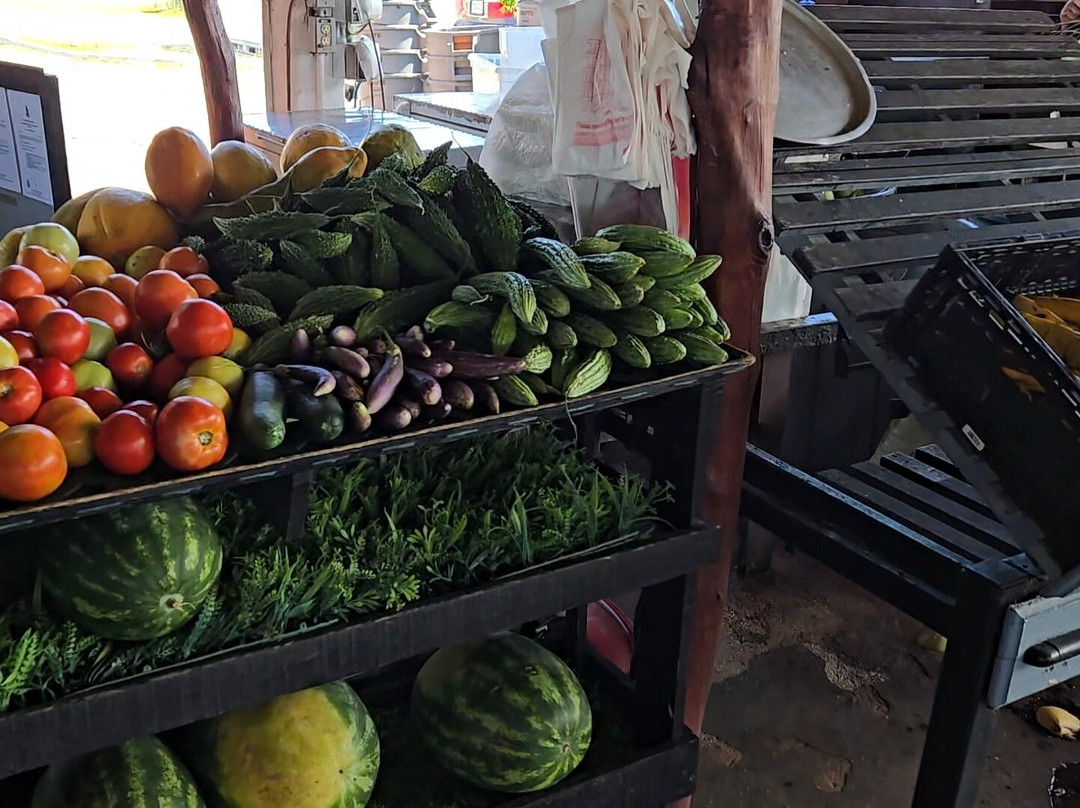 Farm Fresh Direct-乔治城必去景点