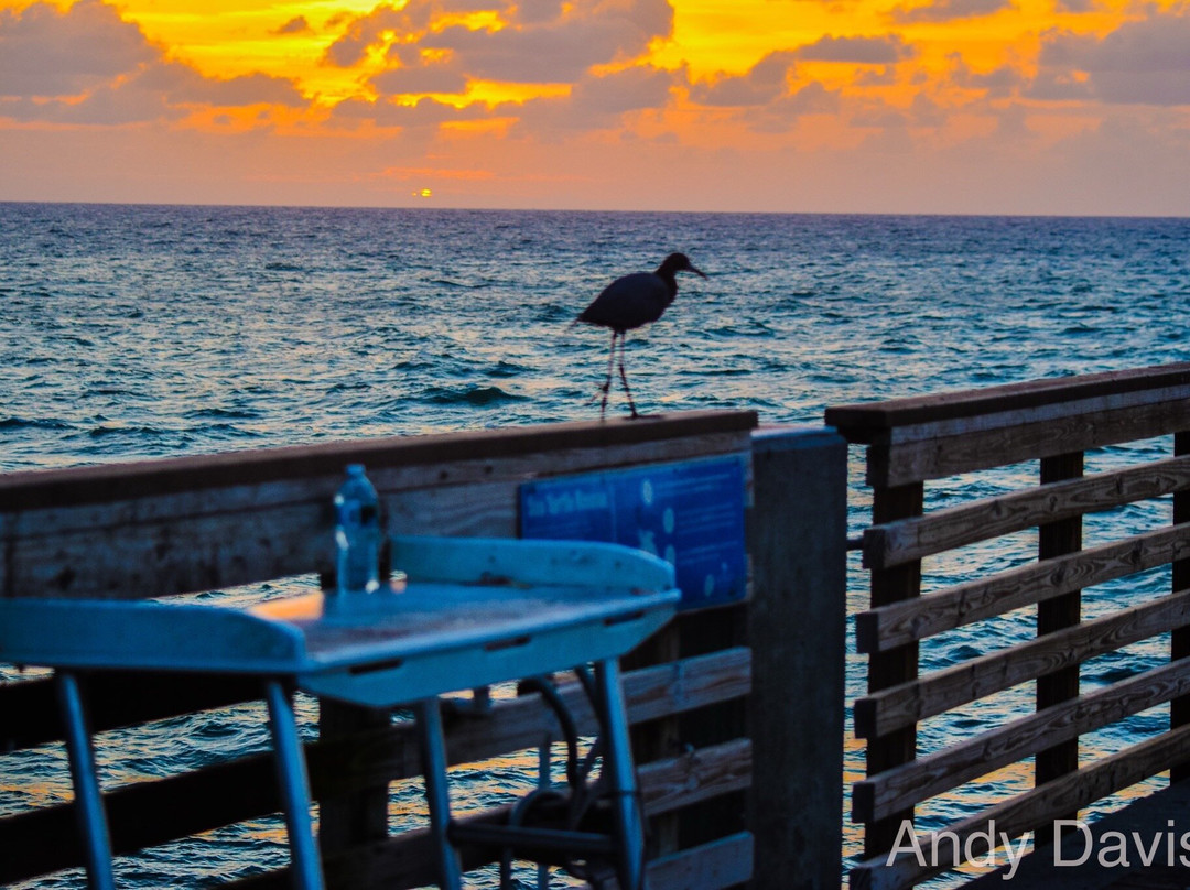 Dania Beach Fishing Pier-达尼亚滩必去景点