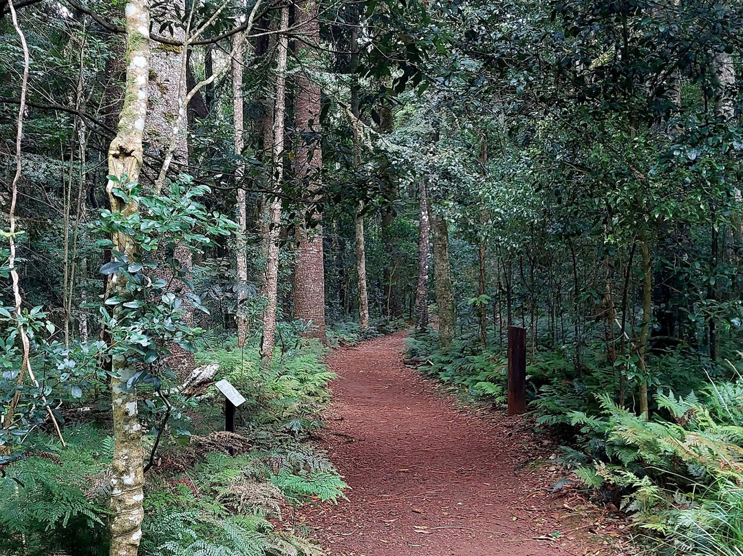 Bunya Mountains National Park-Bunya Mountains必去景点