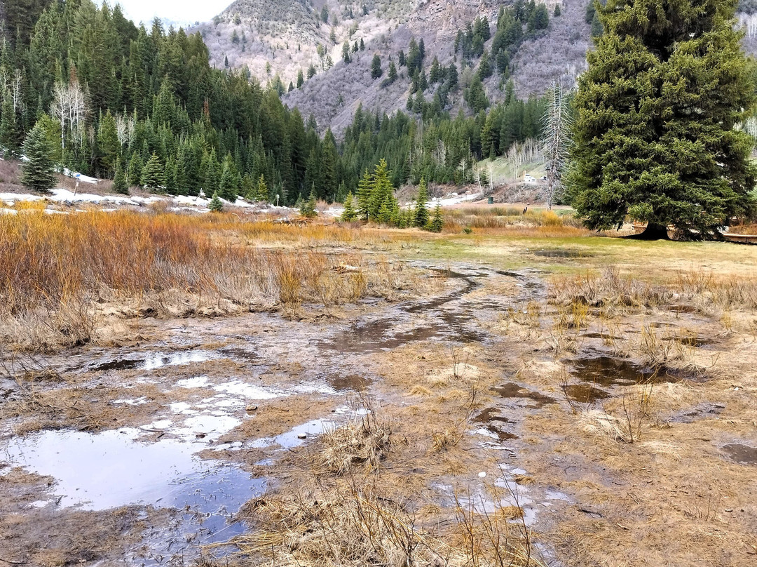 Solitude Mountain Resort-Solitude必去景点