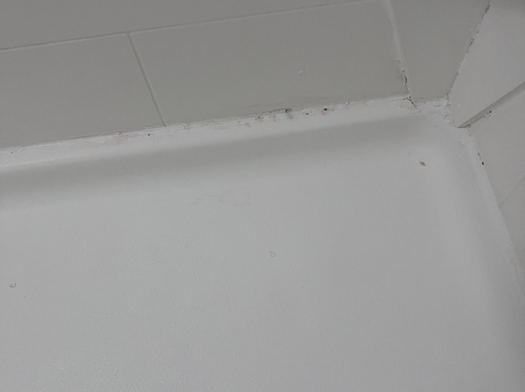 Homewood Suites by Hilton Southwind - Hacks Cross主图