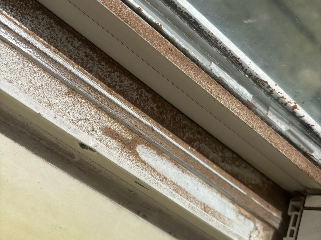 Sleep Inn University主图