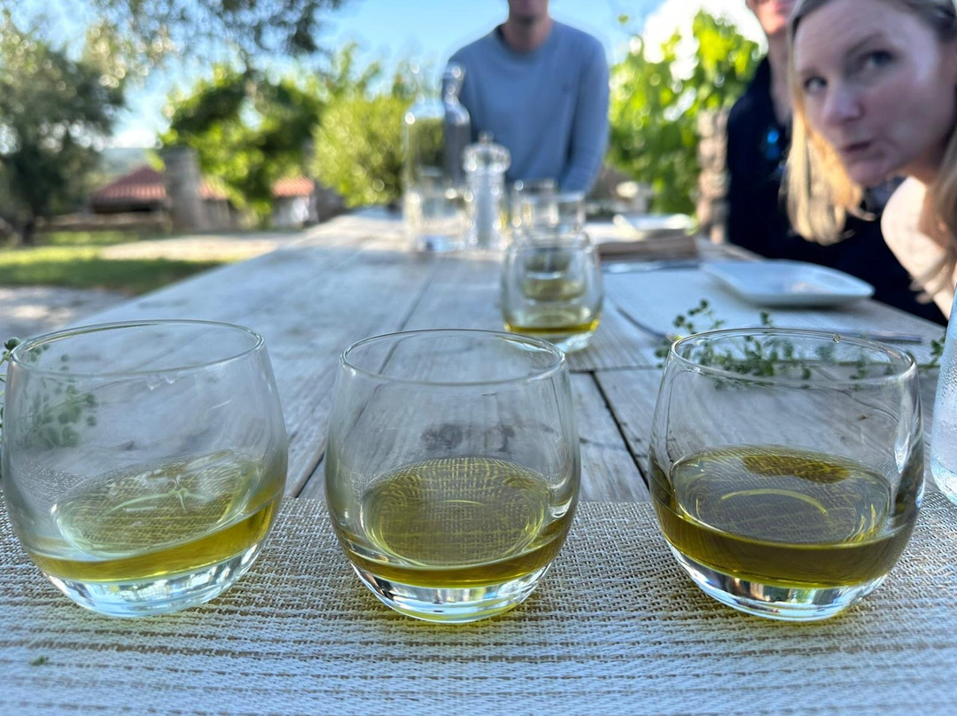 Tour My Day-卡拉马塔必去景点