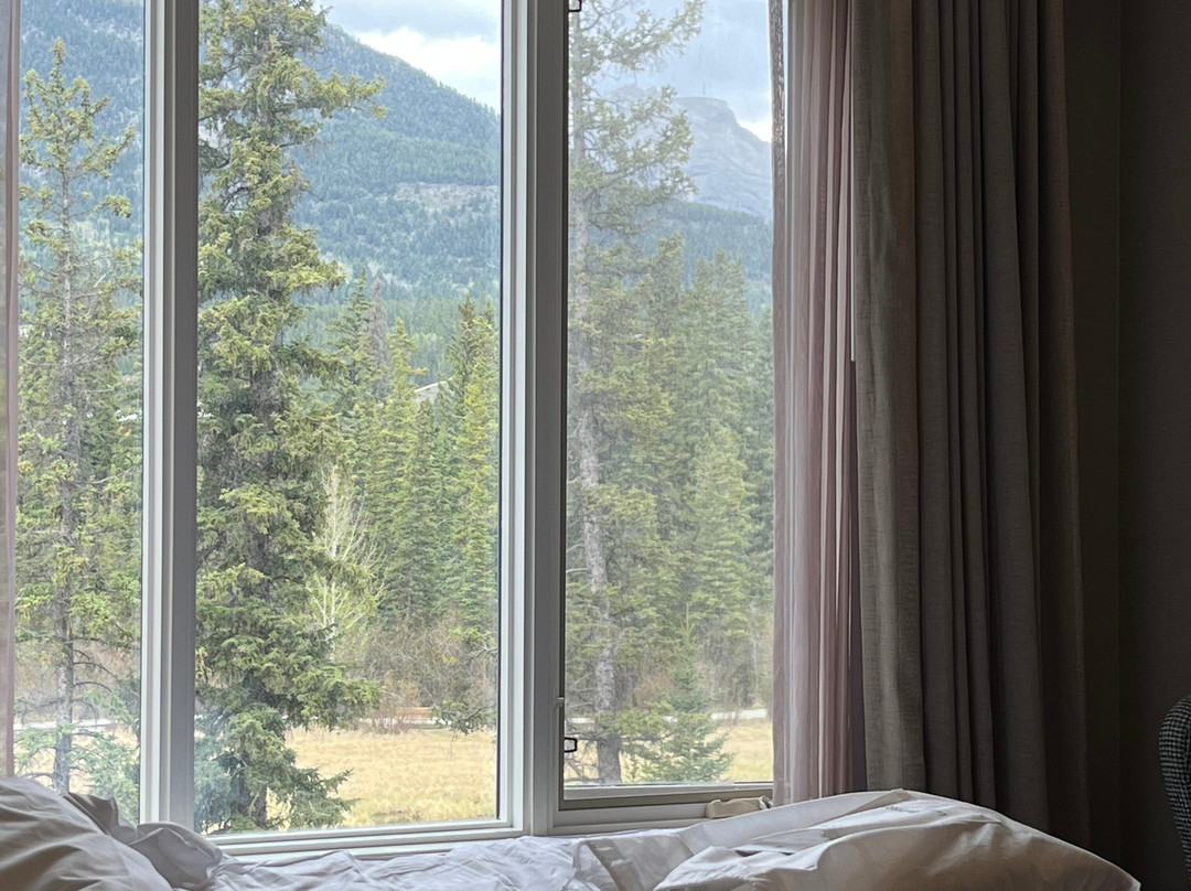 The Malcolm Hotel主图