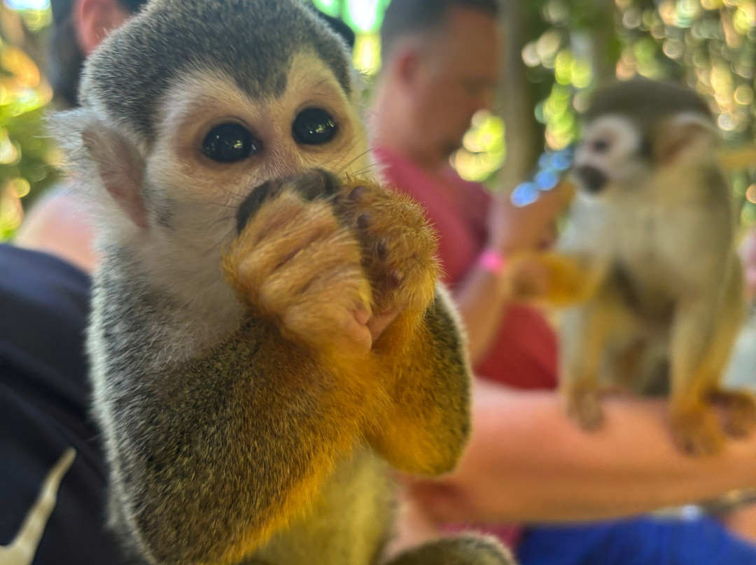 Runners Adventures-普拉塔港必去景点