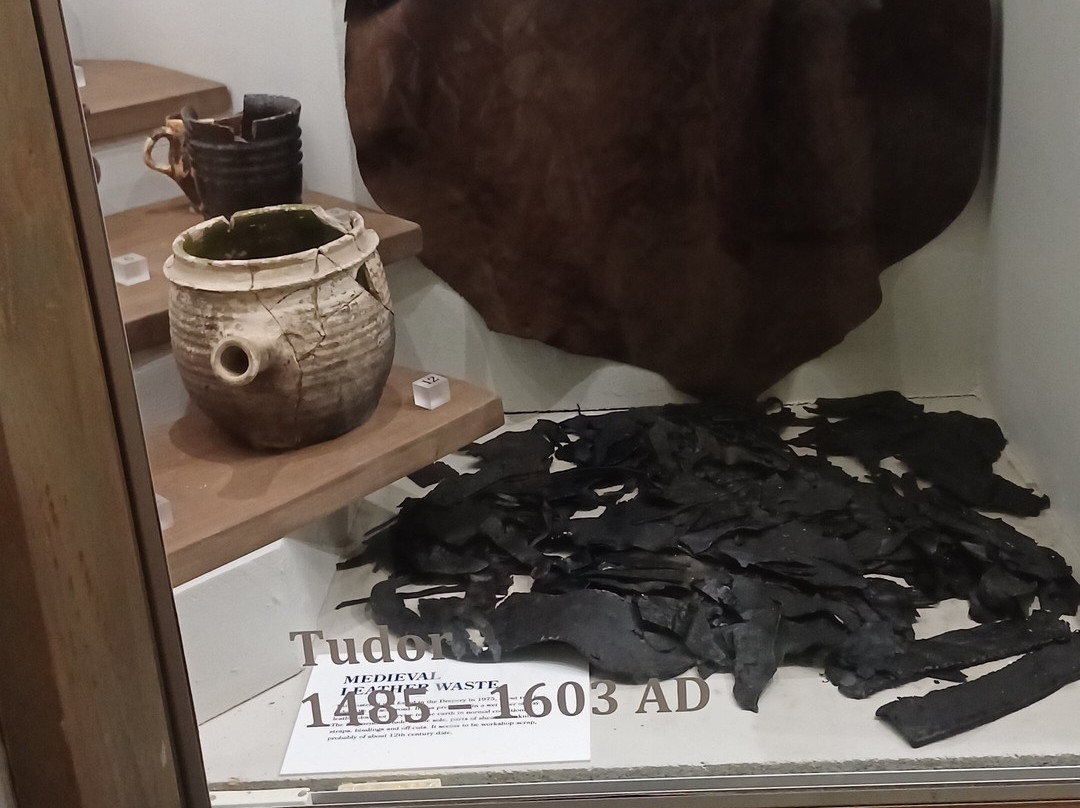 Abington Park Museum-北安普敦必去景点
