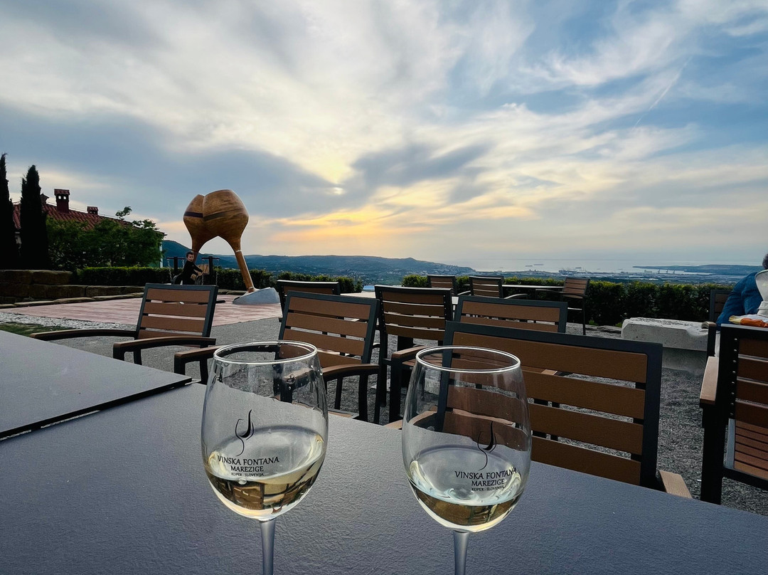 Wine Fountain Marezige-Marezige必去景点