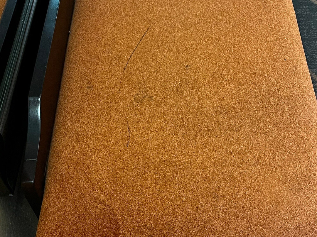 Holiday Inn & Suites Slidell - New Orleans Area By IHG主图