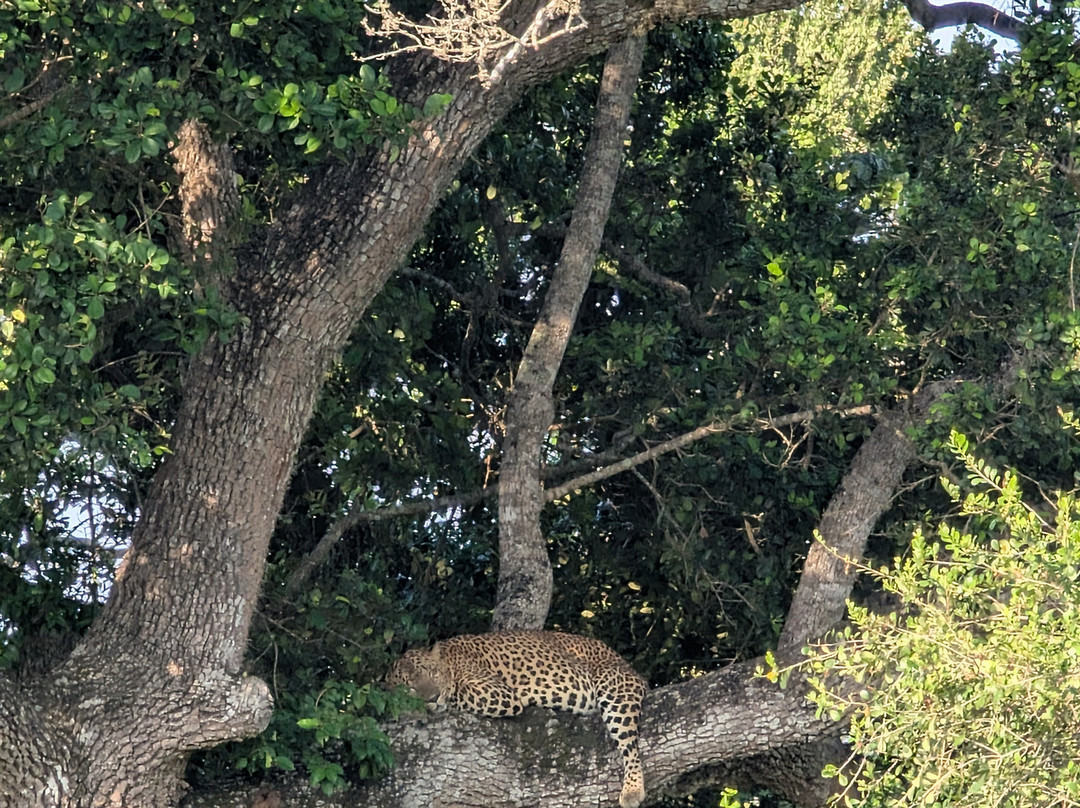 Spotting Trails-雅拉国家公园必去景点