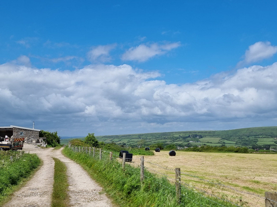 Burngate Purbeck Stone Centre-Langton Matravers必去景点