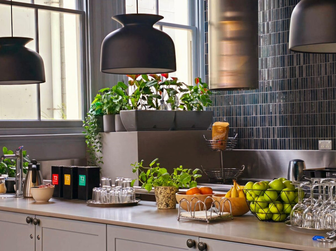 Mrs Banks Hotel主图