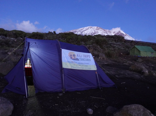 Kili Trips & Safari Outfitters-莫西必去景点