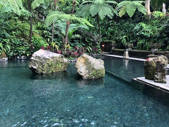 皇家皮塔马哈酒店主图