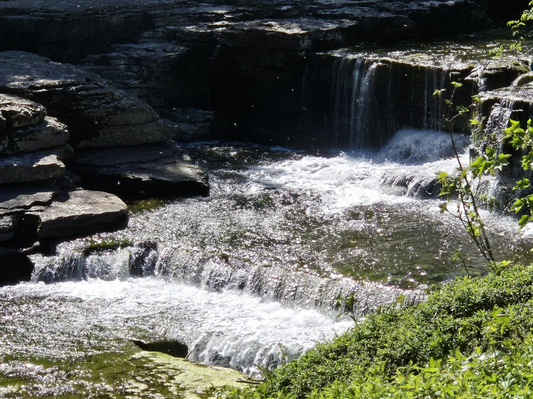 Aysgarth Falls景点图片