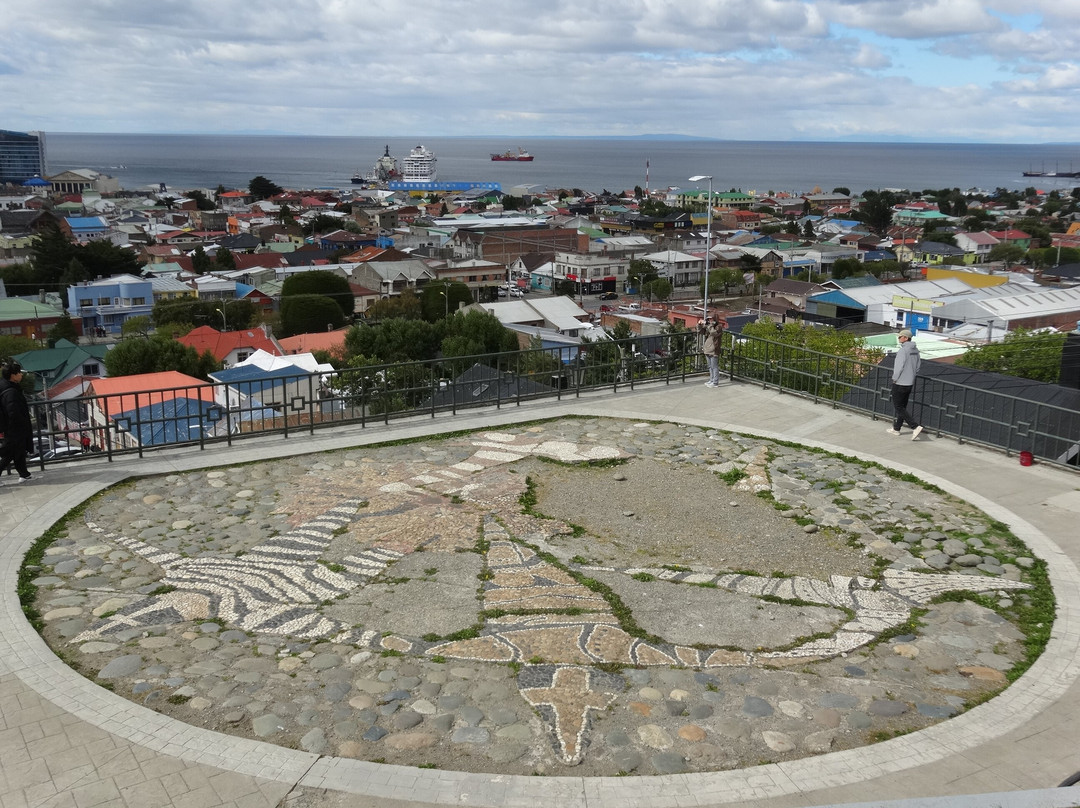 Mirador Cerro De La Cruz-蓬塔阿雷纳斯必去景点